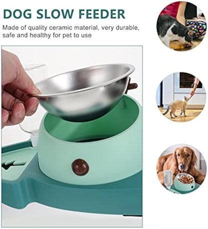 Pet Bowl Feeding